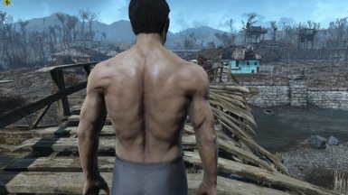 Fallout 4 Male Body Mod - viewdatnow